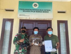Satgas Yonarmed Trk Bogani Gagalkan Penyelundupan Satwa di Jalan Tikus Perbatasan RI dan Malaysia