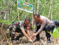 TNI-POLRI Di Bolsel Lakukan Penanaman Mangrove