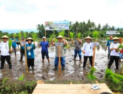 Pj Wali Kota Launching Layanan Sahabat Tani