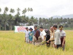 Pj Wali Kota Pantau Ketersediaan Pangan