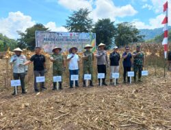 Sinergi Pemerintah, TNI, dan Swasta Wujudkan Kedaulatan Pangan Lewat Panen Perdana PT HATI