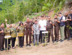 Bukti Nyata Peduli Lingkungan, Bupati Iskandar Ikuti Penghijauan Di Pegunungan Eks Tambang