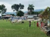 Idul Adha 2026, Kotamobagu Sembelih 208 Ekor Hewan Kurban