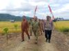 Wakili Bupati Bolmong, Sekda Abdullah Hadiri Panen Raya Program Ketahanan Pangan Nasional TNI