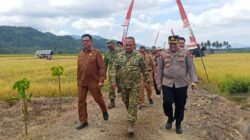Wakili Bupati Bolmong, Sekda Abdullah Hadiri Panen Raya Program Ketahanan Pangan Nasional TNI