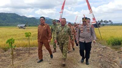 Wakili Bupati Bolmong, Sekda Abdullah Hadiri Panen Raya Program Ketahanan Pangan Nasional TNI